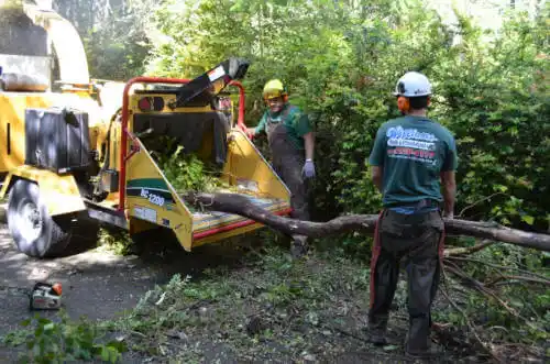 tree services Winnebago